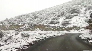 بالفيديو | تساقطات ثلجية كثيفة تكتسح جماعة بركين بإقليم جرسيف